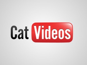 Logo youtube cat videos