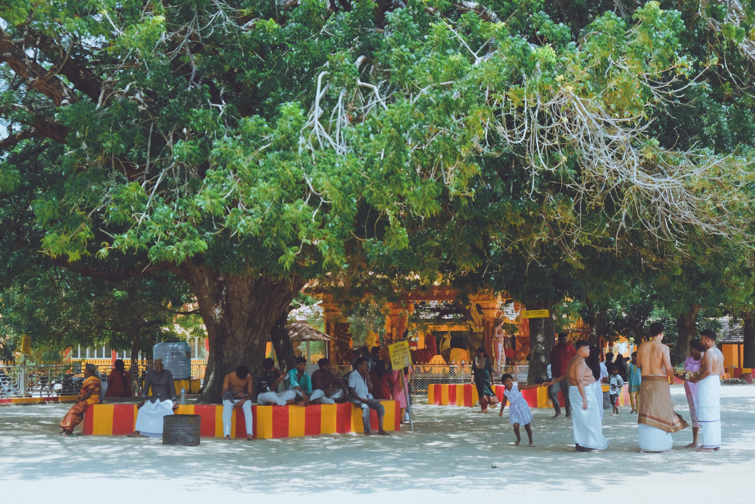 [Vie de Pras] Fier d&rsquo;être né à Jaffna